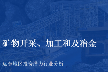 礦物開(kāi)采、加工和及冶金 — 遠(yuǎn)東地區(qū)投資潛力行業(yè)分析